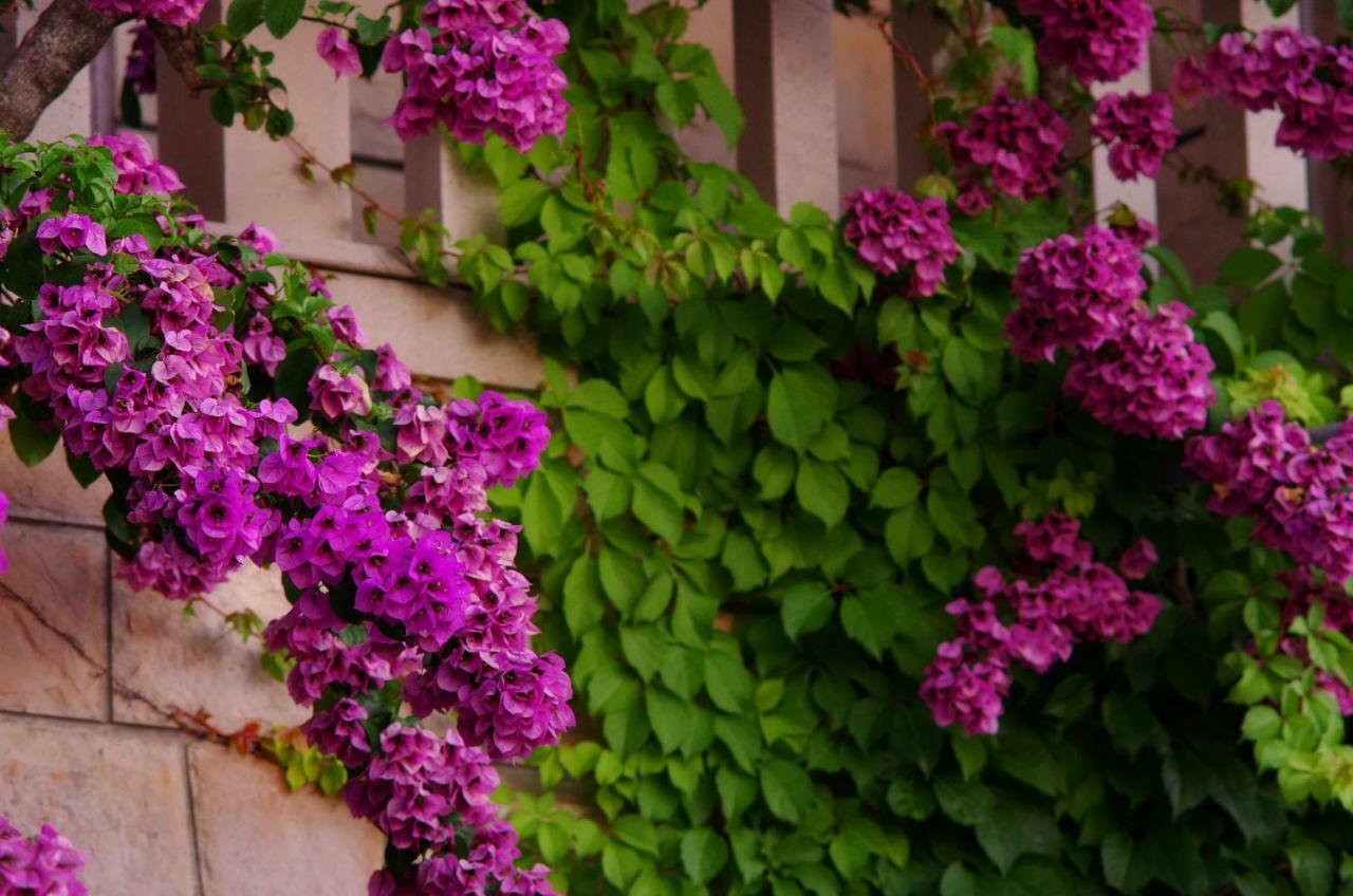 Large And Charming Apartment Near Beach With Big & Sunny Terrace Sumartin Zewnętrze zdjęcie